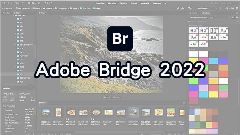Adobe Bridge 2022 永久啟用 Win/Mac 免費下載安裝完整教學